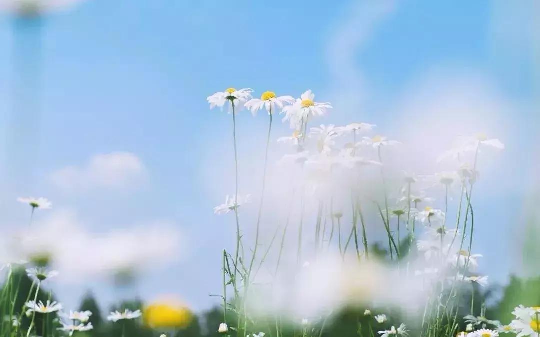 人生最洒脱的10大诗词,人间最美是释怀九首诗词完美诠释