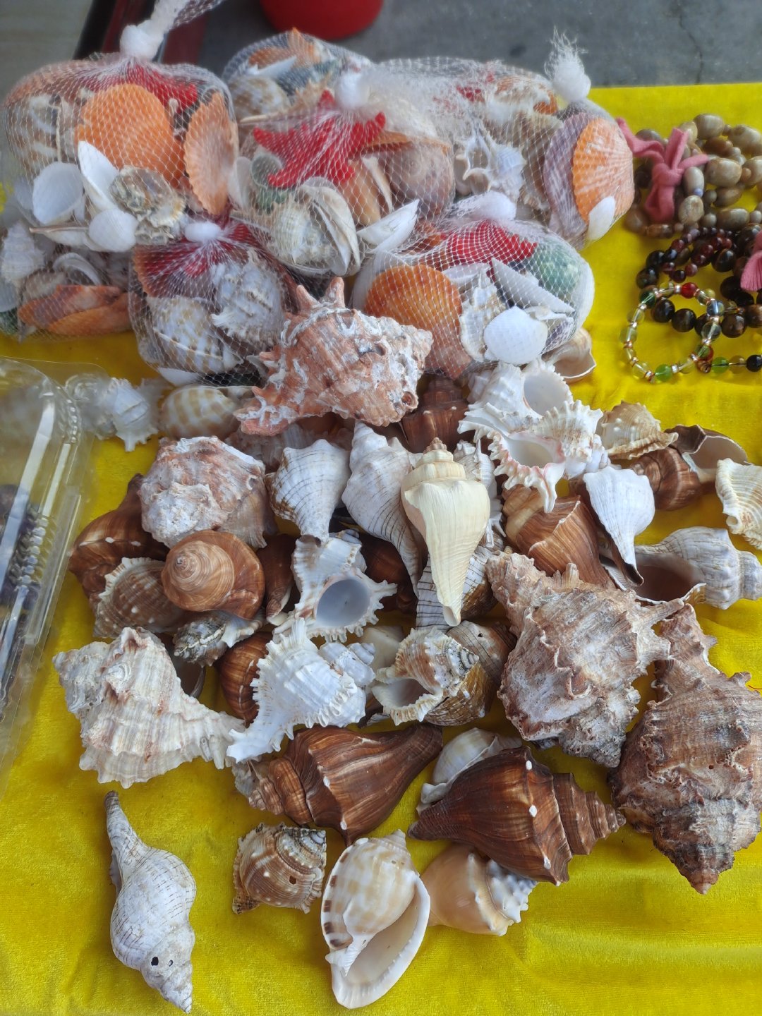 厦门不仅有美丽的风景还有好吃的,厦门旅游美食美景照片