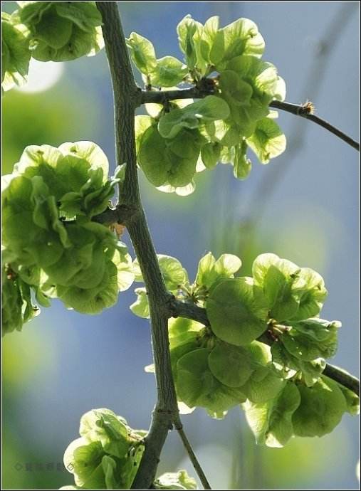 李贺诗中最美的颜色,李贺的诗词风格特点