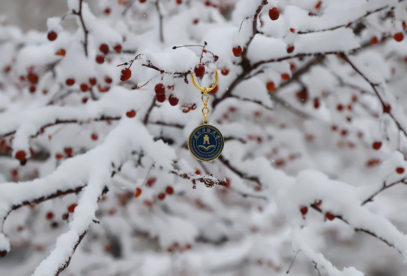 东北财经大学，一所实力不输211的老牌名校