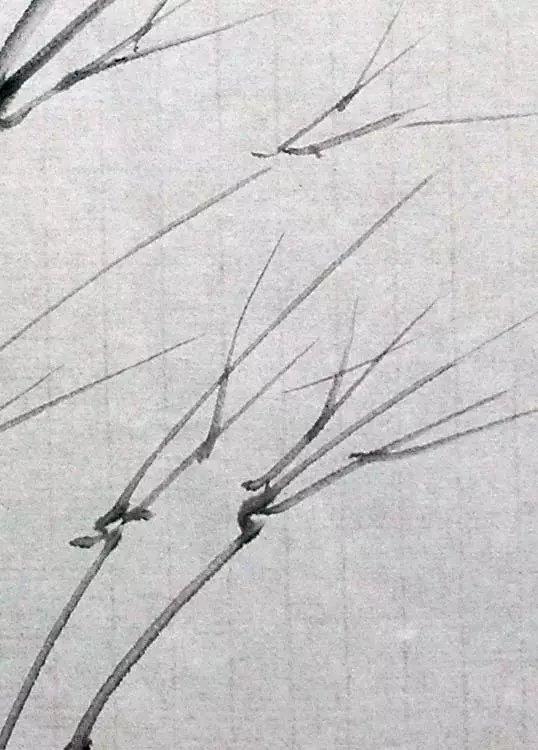 国画竹子怎么画简单又好看,竹子怎么画又简单又漂亮