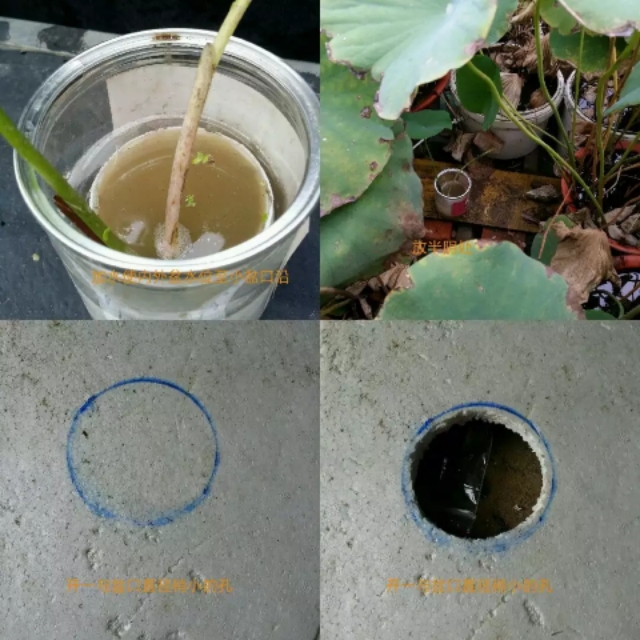 纰楄幉绉嶈棔绉嶆鏂规硶,绉嶆纰楄幉鐢ㄤ粈涔堝湡