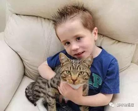 喵星人的背后是什么,盘点喵星人冬天也怕冷