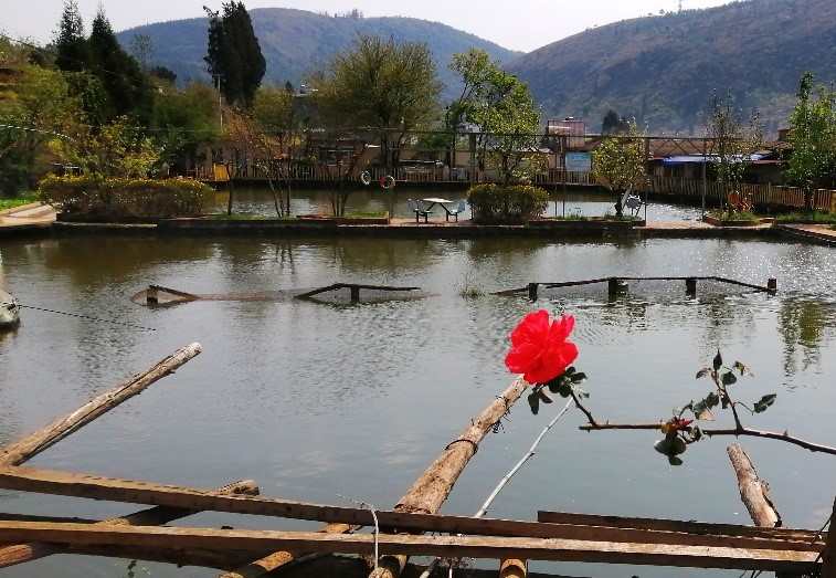 徐霞客游记完整视频,徐霞客游黄山后记全文