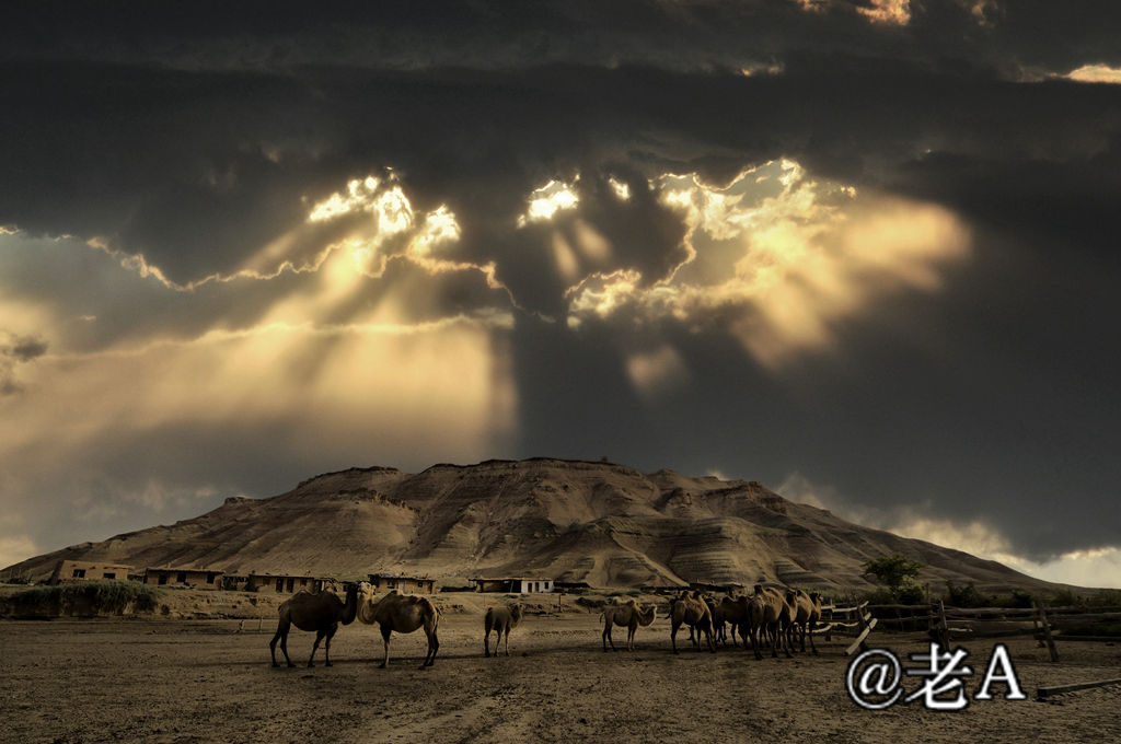 朋友们来张掖吧原视频,朋友来张掖吧