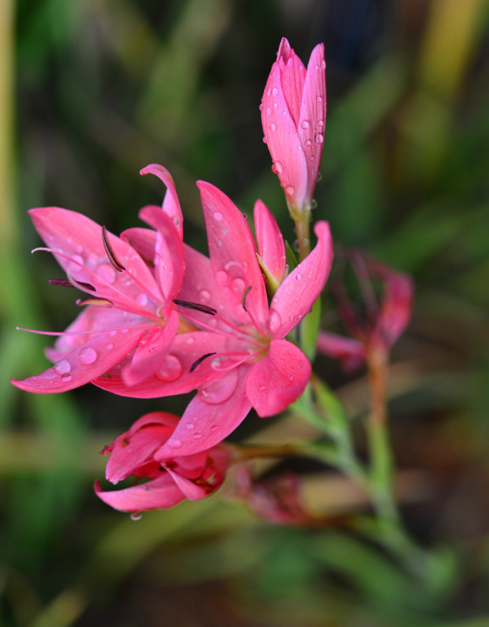 霸气经典说说适合发朋友圈的句子,最近朋友圈很流行的说说句句经典