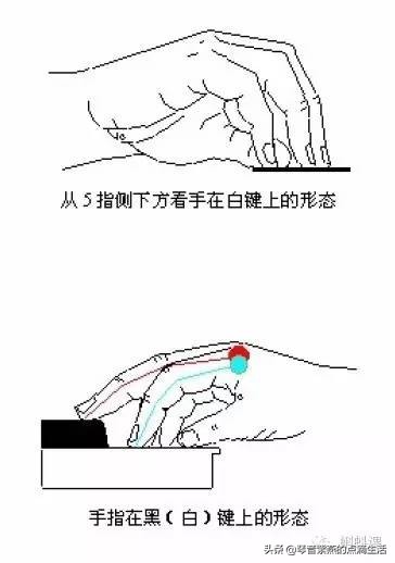 电子琴教学入门弹奏一首母亲,电子琴初学入门教程母亲