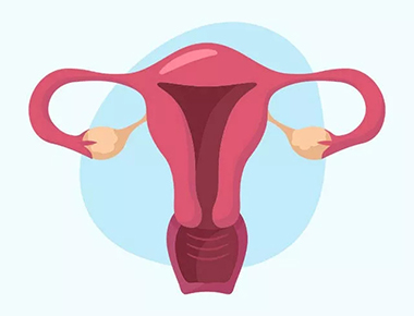 怎样的子宫内膜适合怀孕？吃柚子能长内膜？