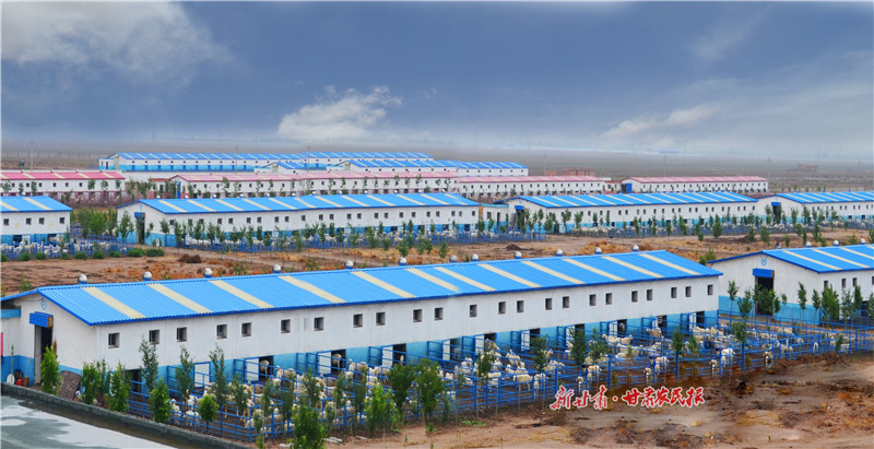 中天羊业的经营模式,中天羊业官网