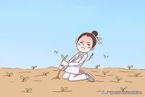 为什么有人年纪轻轻就有白发,为什么年纪轻白发增多