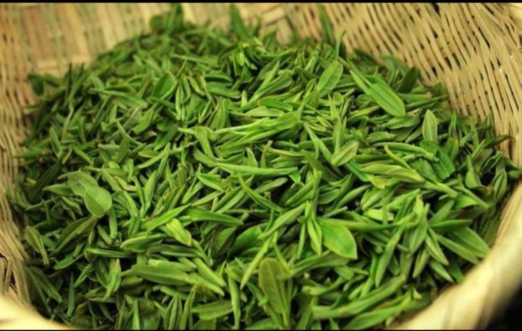 哪种龙井茶抗衰老强,喝龙井茶对身体有什么好处呢