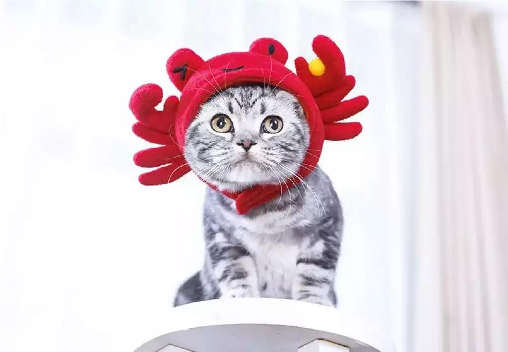 华谊兄弟电影世界苏州国庆节,苏州华谊兄弟电影世界攻略下篇