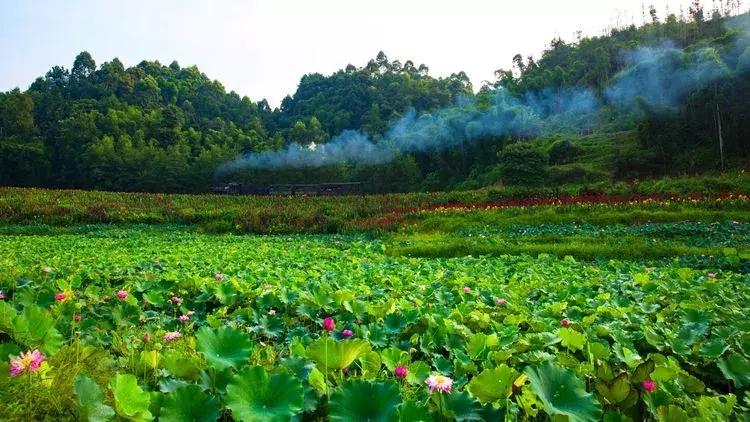 犍为风景最优美的地方,美丽的犍为风景