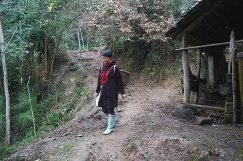 李佳琦拼多多视频,李佳琦和拼多多谁的价格低