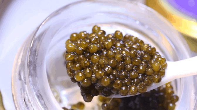 清蒸鲟龙鱼鱼子酱,三大美食鲟鱼鱼子酱