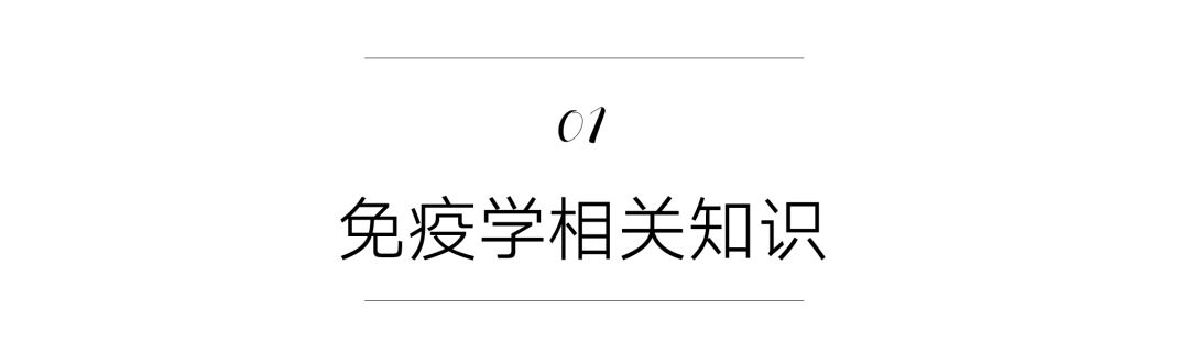养猫咪新手入门必知疫苗怎么打,新手养猫疫苗怎么打