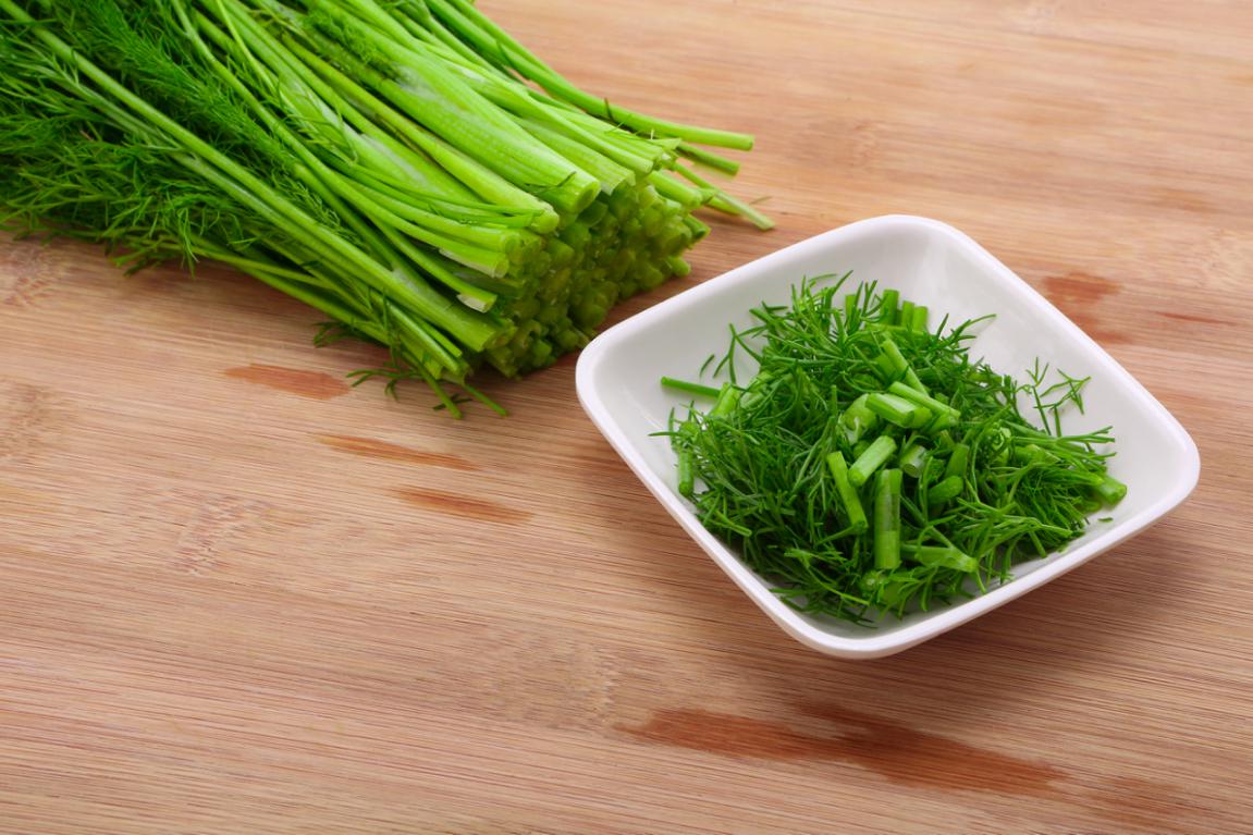 茴香的食用方法茴香的功效与作用,茴香的营养价值和食用禁忌