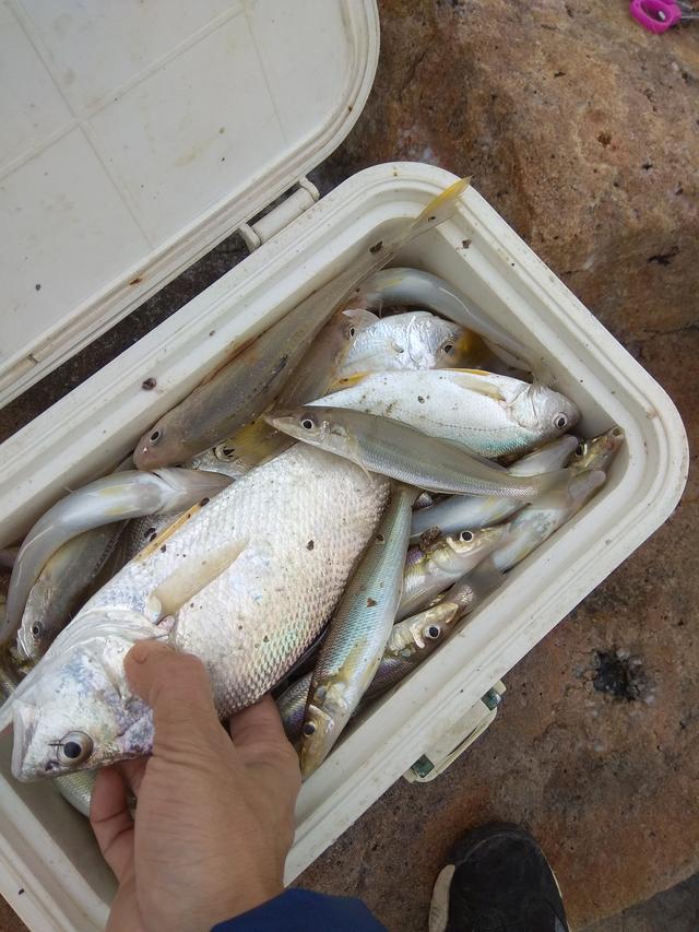 沙滩远投用什么钓组,沙滩远投线组讲解