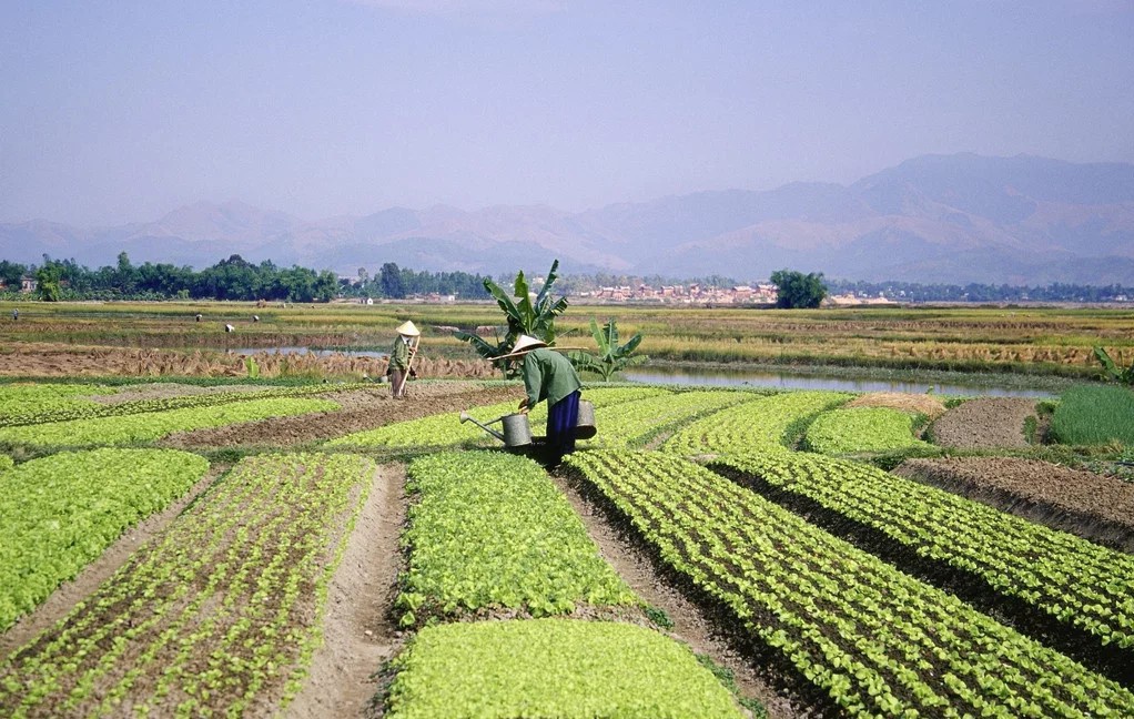令人向往的生活状态,大部分人向往的生活是什么样的