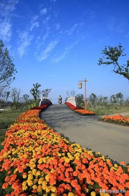 无锡秋游胜地最全推荐,无锡秋游自驾绝佳去处