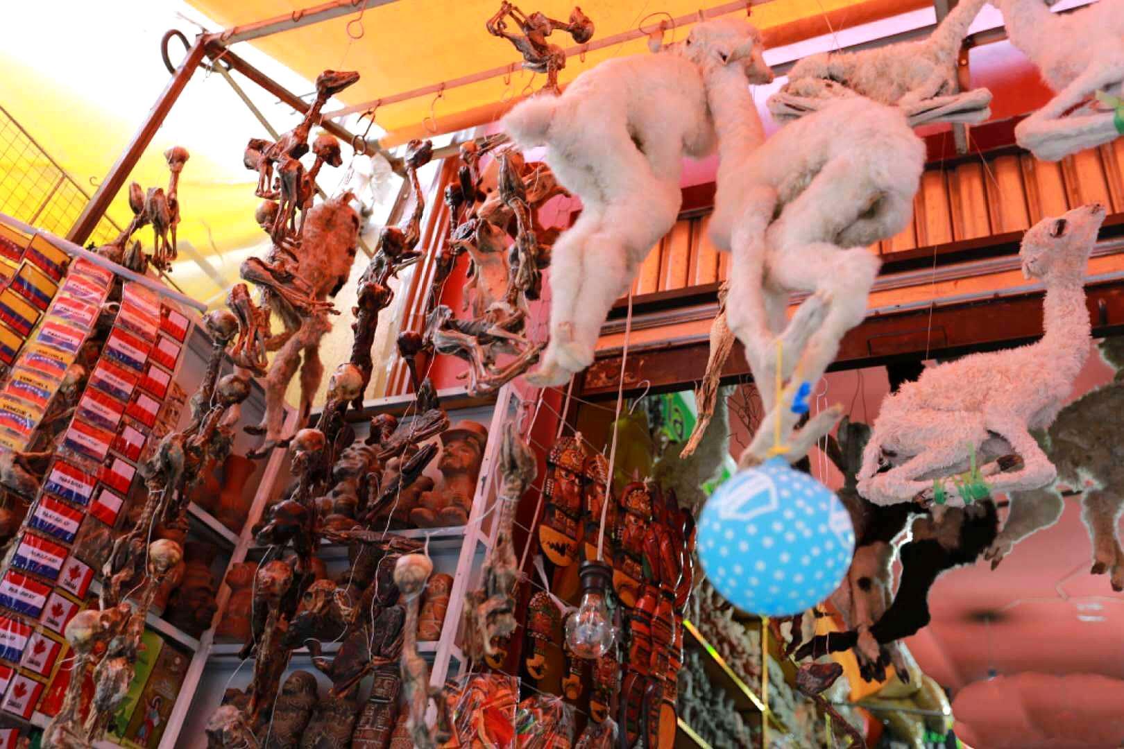 秘鲁女巫市场施法,女巫集市