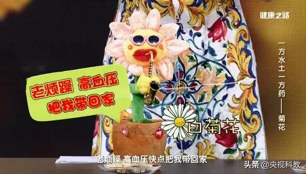 降火明目护肝组合茶,护肝明目降火