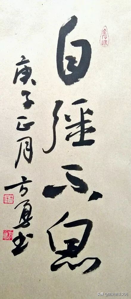 战疫纪实摄影展,战疫情展青春书画作品