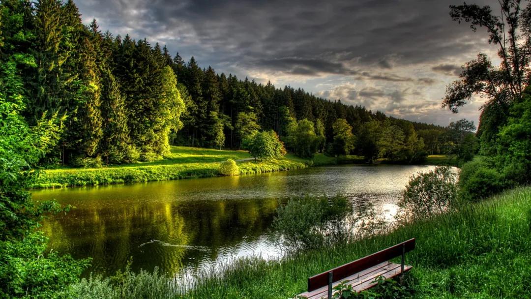 类比推理如何整顿错题,类比推理中成语常见的考法