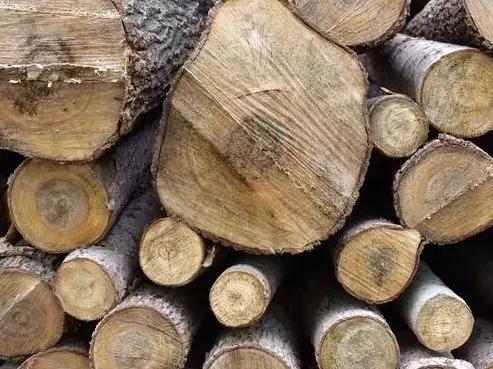 家具工厂原木怎样测量,木工建筑木材怎么识别