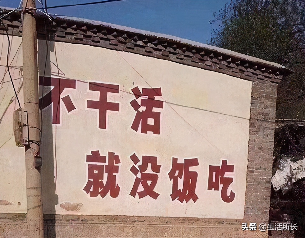 白冰出道14年,白冰出道十四年