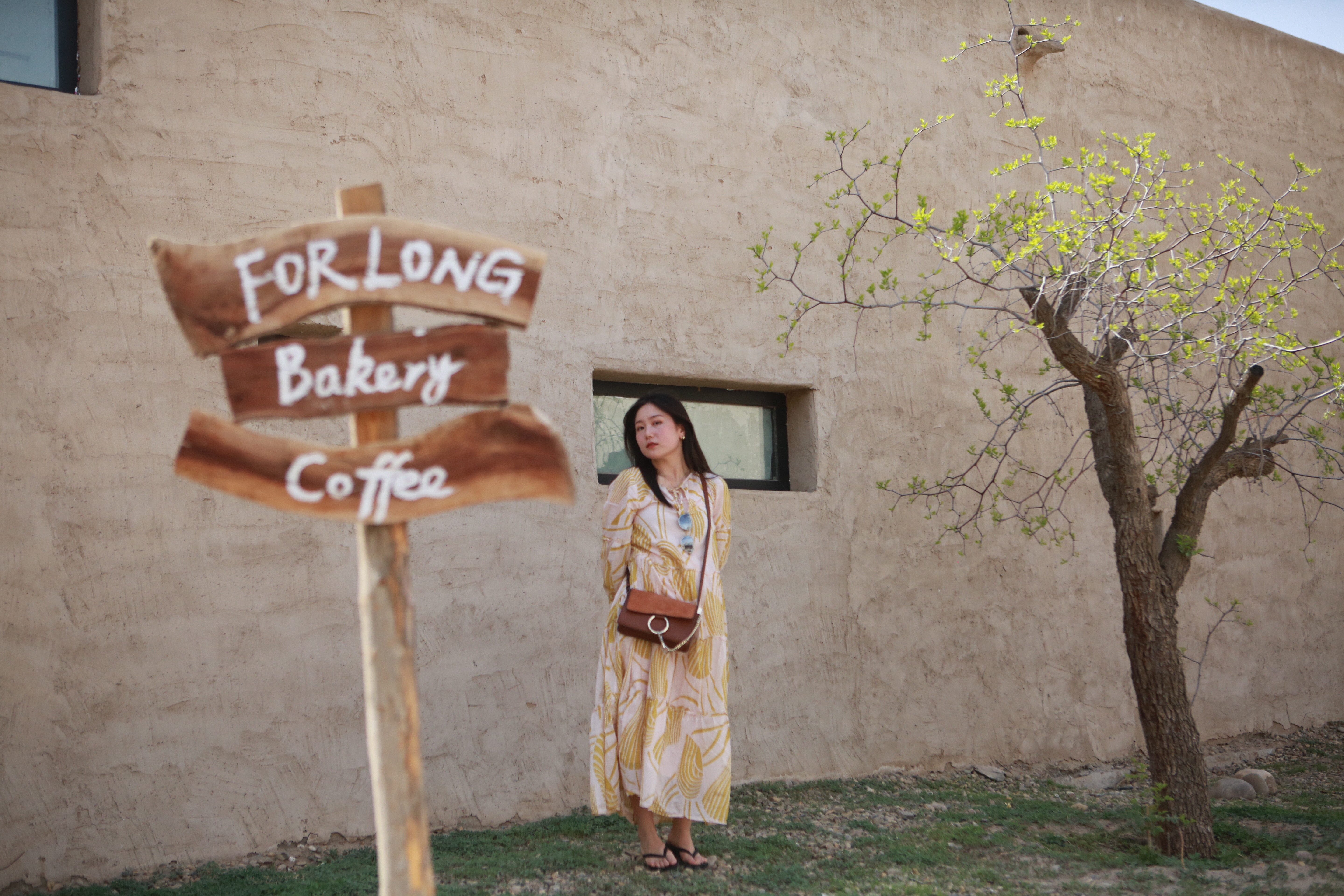 黄河中卫民宿,中卫民宿排行榜前十名