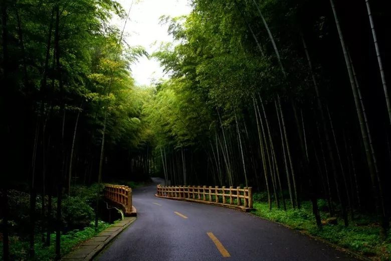 中国醉美云和梯田,中国醉美梯田景观