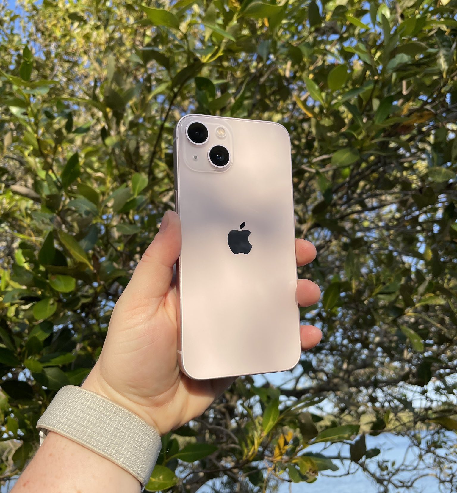 买千元机还是买二手的旗舰机,二手旗舰机千元机