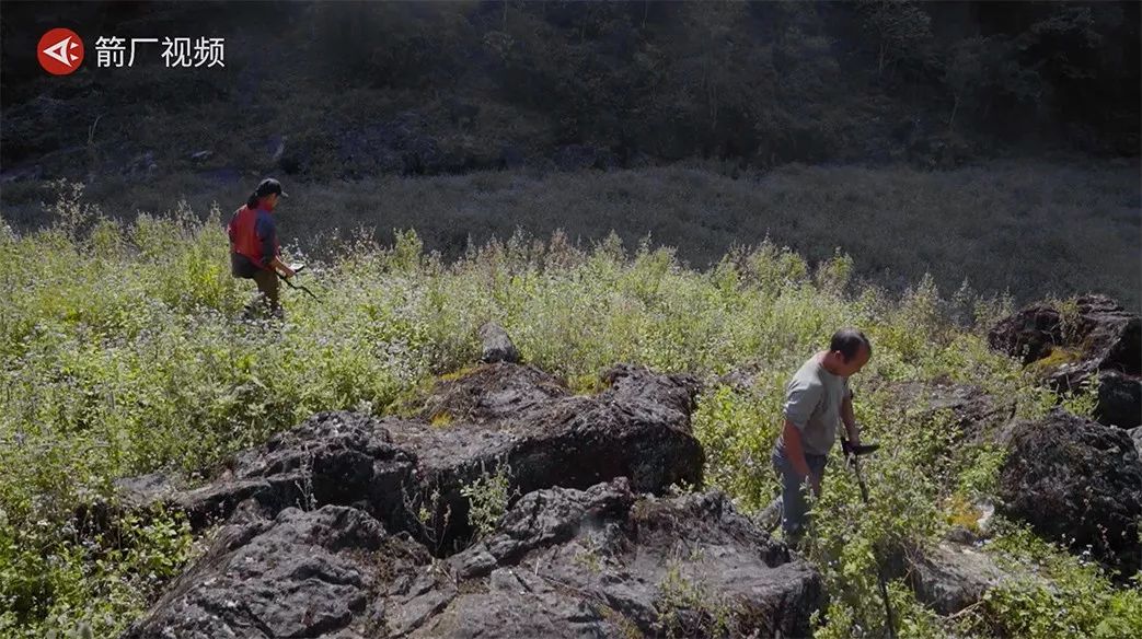 陨石多少钱一克中国真实陨石价格,陨石价格中国陨石目前最新价格