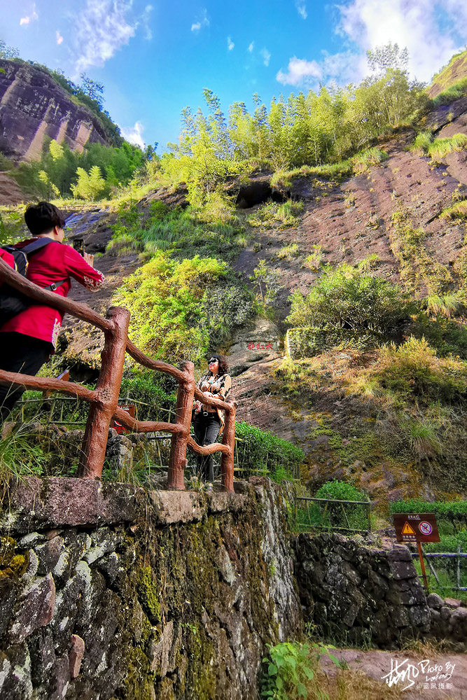 武夷山大红袍茶树,武夷岩茶一级大红袍多少钱