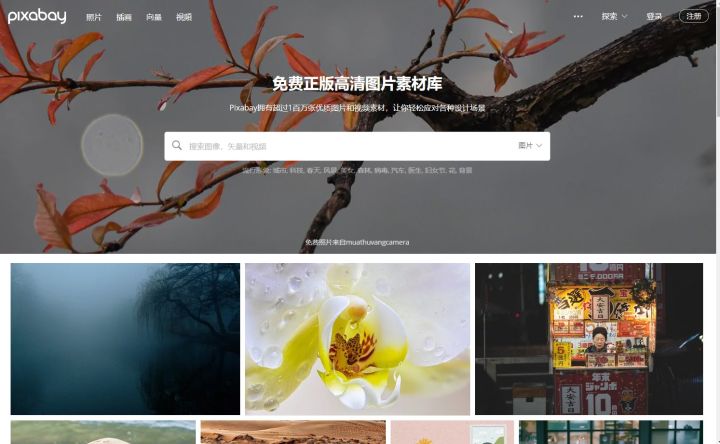 同事眼里无关痛痒的运营工具，让我拿了5个月的年终奖