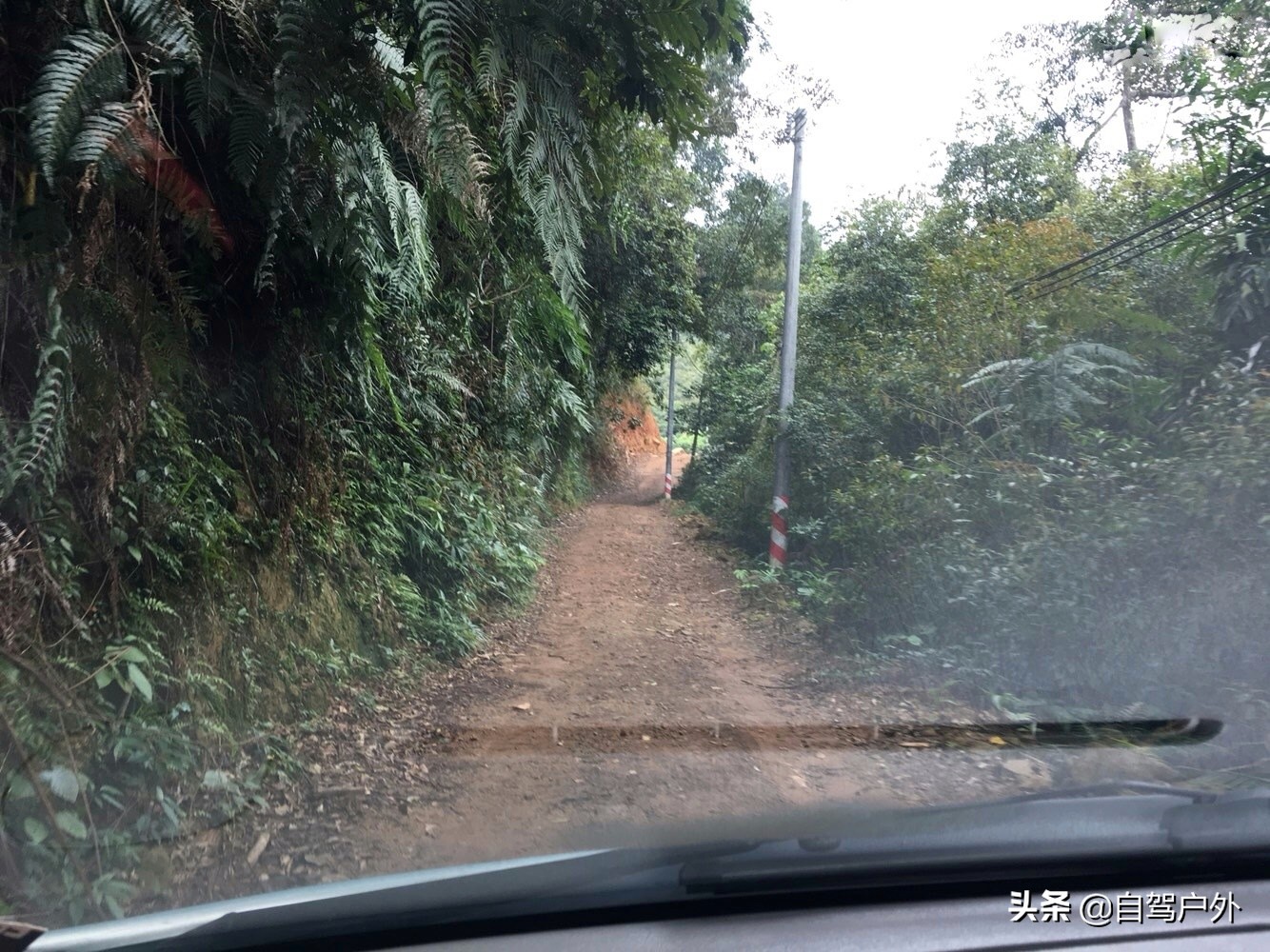罗浮山脚下小溪露营地推荐,罗浮山休闲竹林露营攻略