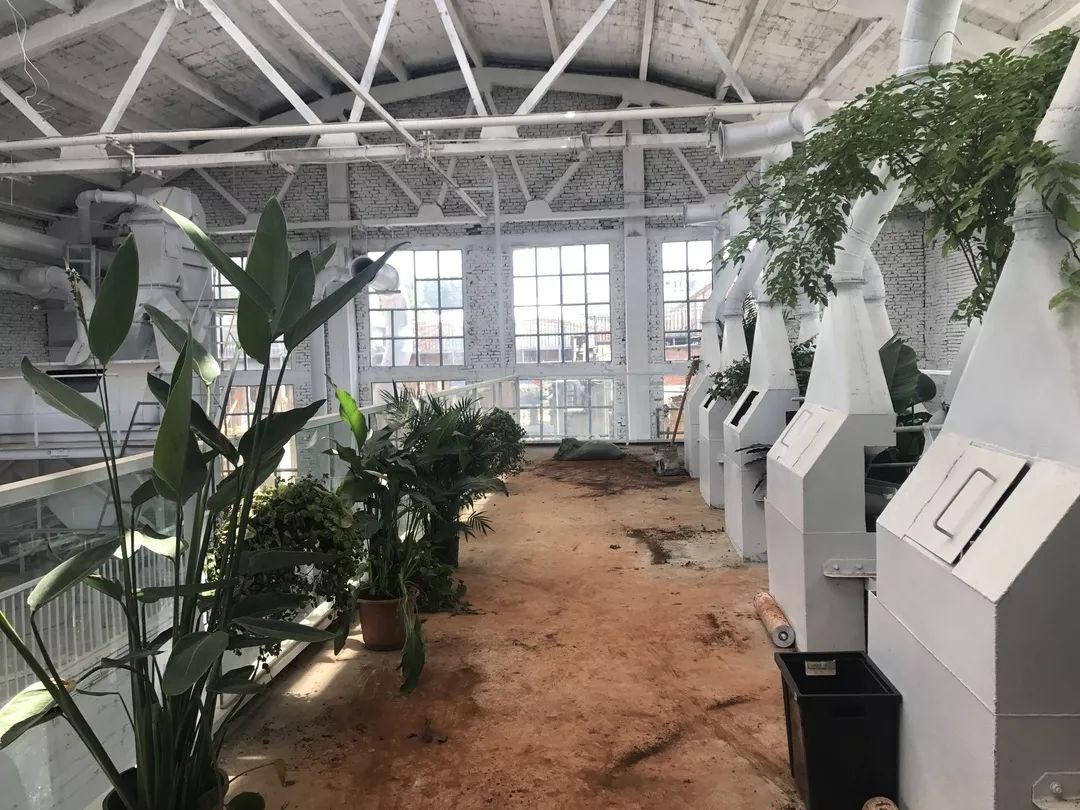 爆改废弃工厂，看三个姑娘如何施展植物魔法