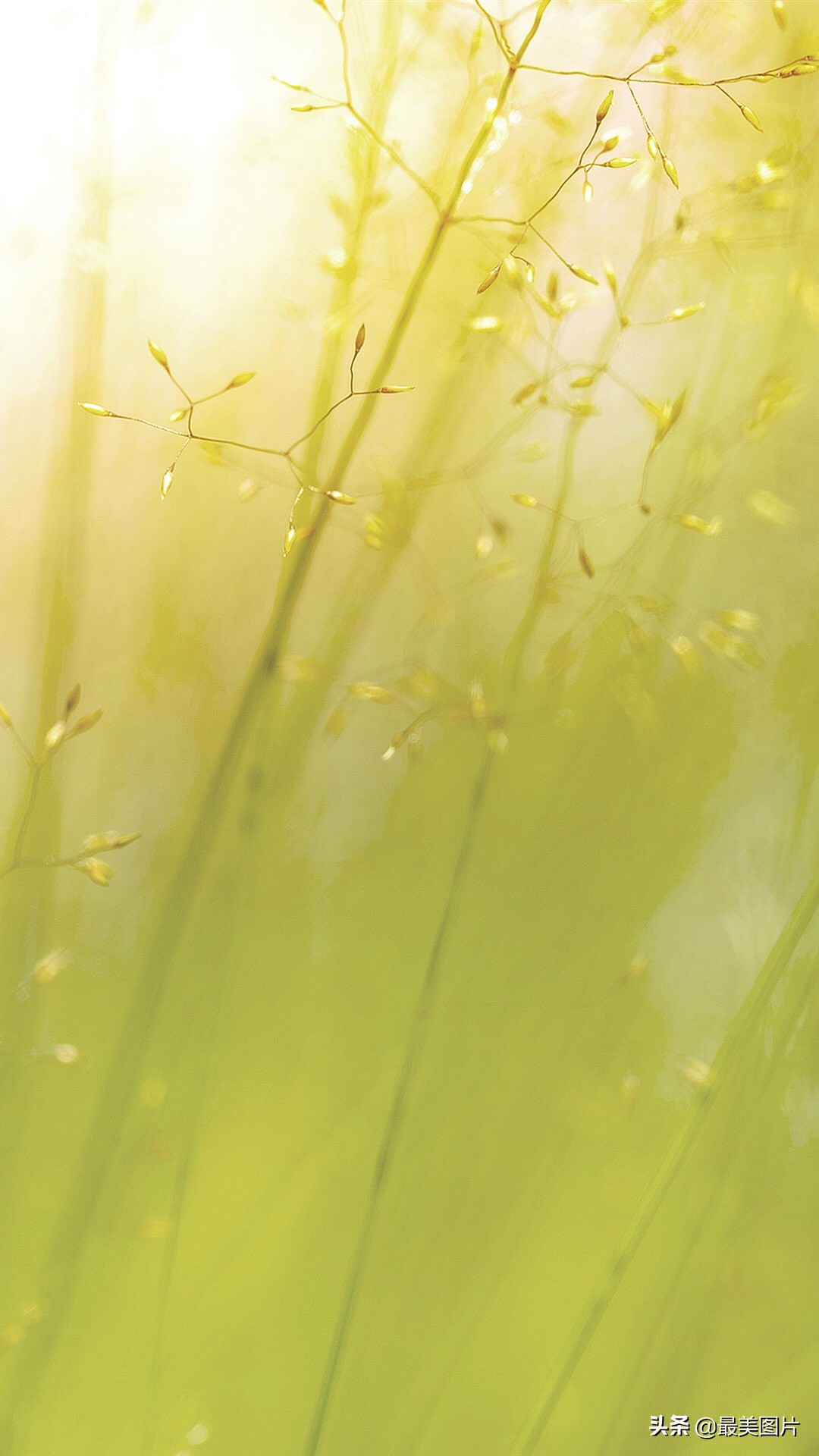 手机商务壁纸高清金属质感,高清手机壁纸简约时尚大全