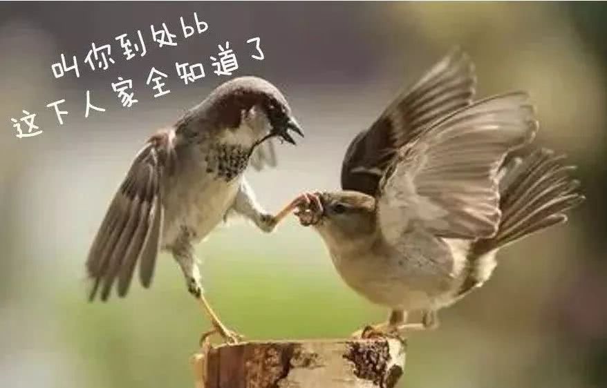 舌尖上的大学城！就能找回满足感的地方……