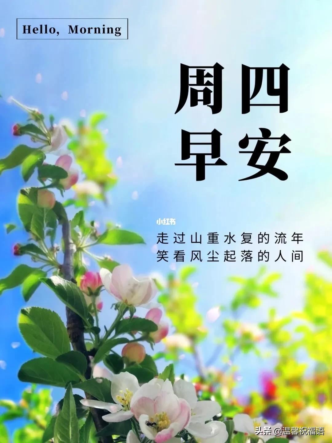 十一月初一早上好祝福,11.11光棍节祝福