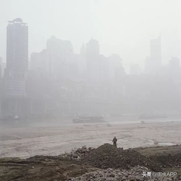 图虫opensealab摄影,图虫看动物世界系列