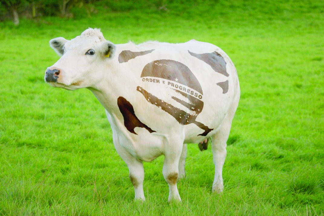 巴西特朗普言论,巴西特朗普关系