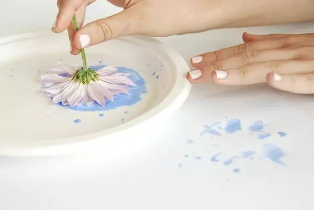 简单又好看的儿童画画教程,教小孩子画画好看又简单的教程