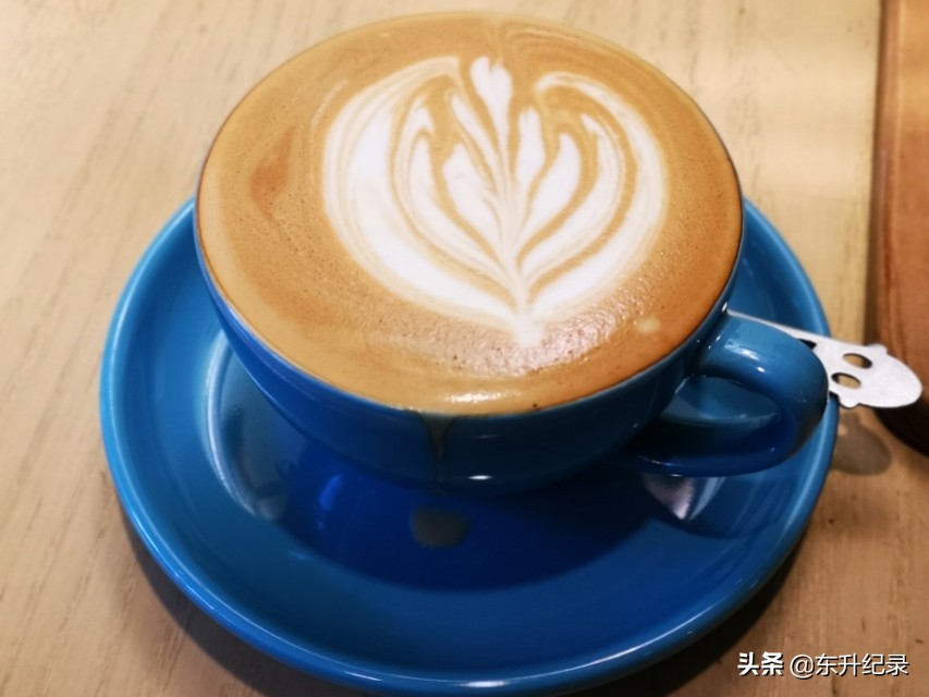 猫屎咖啡是不是世界上最贵的,猫屎咖啡是怎么来的太让人心痛了