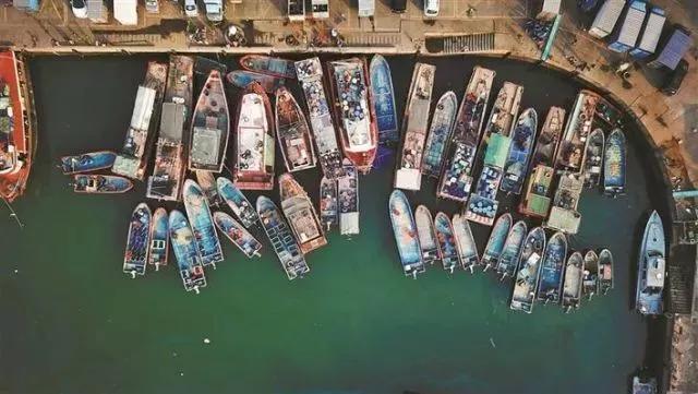 深圳一个让人伤心的城市,泪崩了原唱完整版