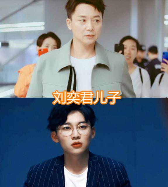 刘奕君情感史,刘奕君为什么跟前任离婚