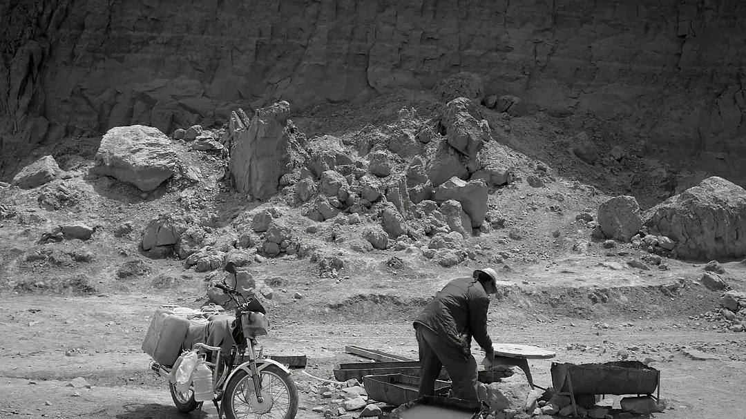 40岁牧羊人被发廊妹骗去16万心血钱，这电影后劲太大