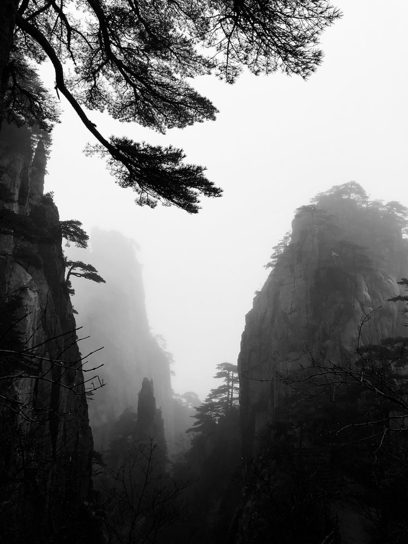 直男的逆袭！做一个会用手机拍照的男朋友！拍完女友不分手~