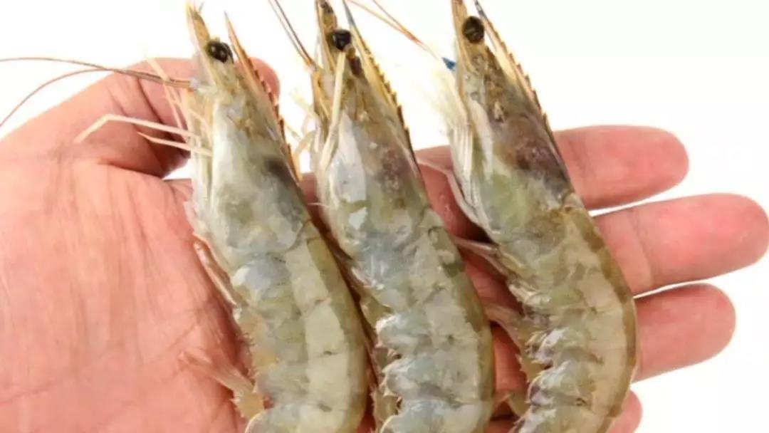 史上最简单美味的快手炒虾,水煮虾简单快手香辣开胃